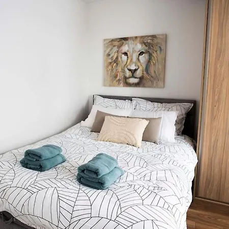 Pod Katedra W Gnieznie