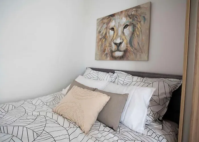 Pod Katedra W Gnieznie * Gniezno