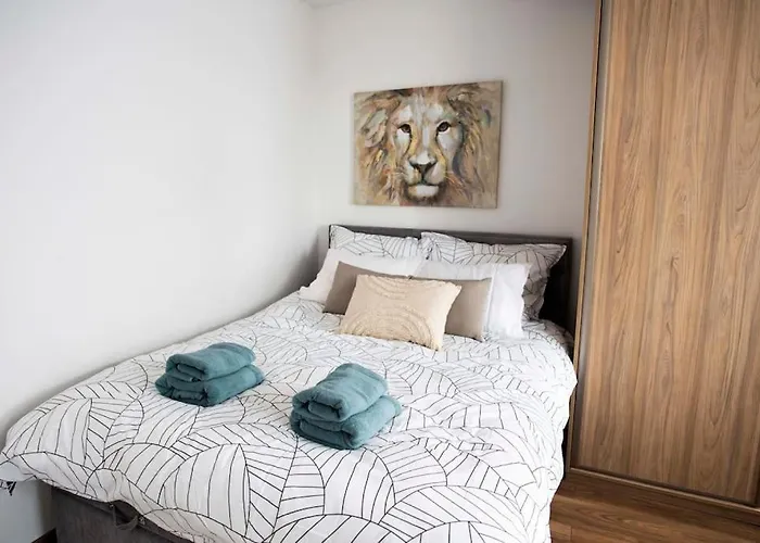 Pod Katedra W Gnieznie