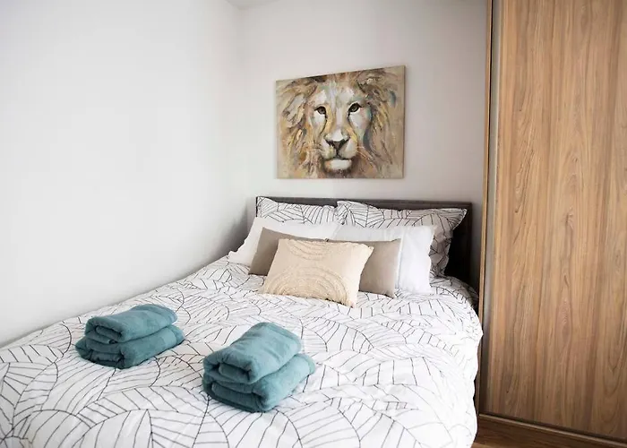 Pod Katedra W Gnieznie